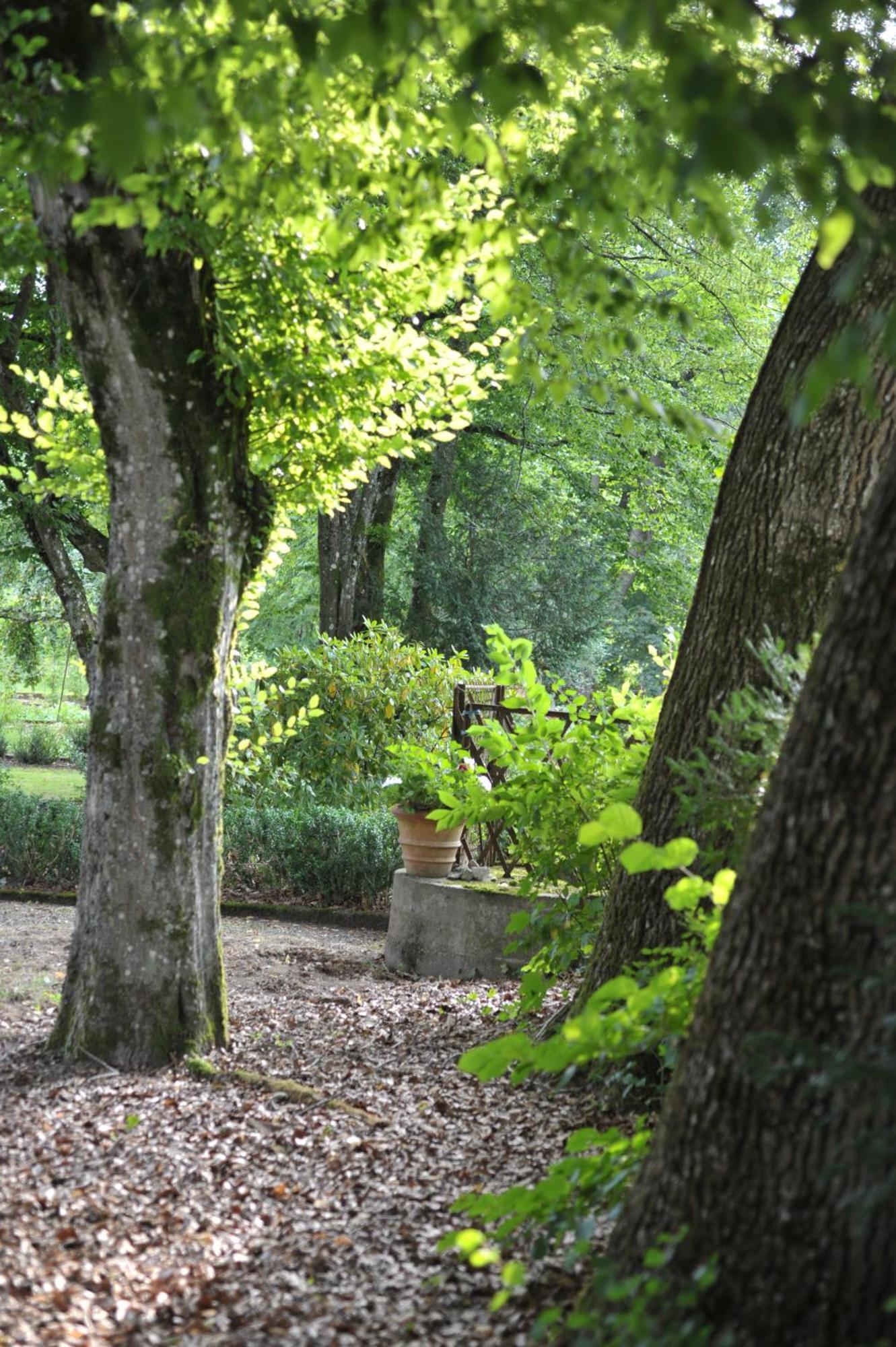 La Maison D'Hotes Du Parc Ronchamp Exterior foto