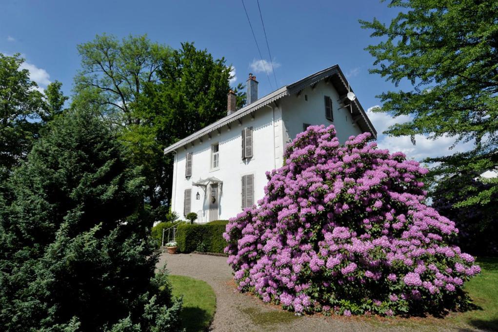 La Maison D'Hotes Du Parc Ronchamp Exterior foto